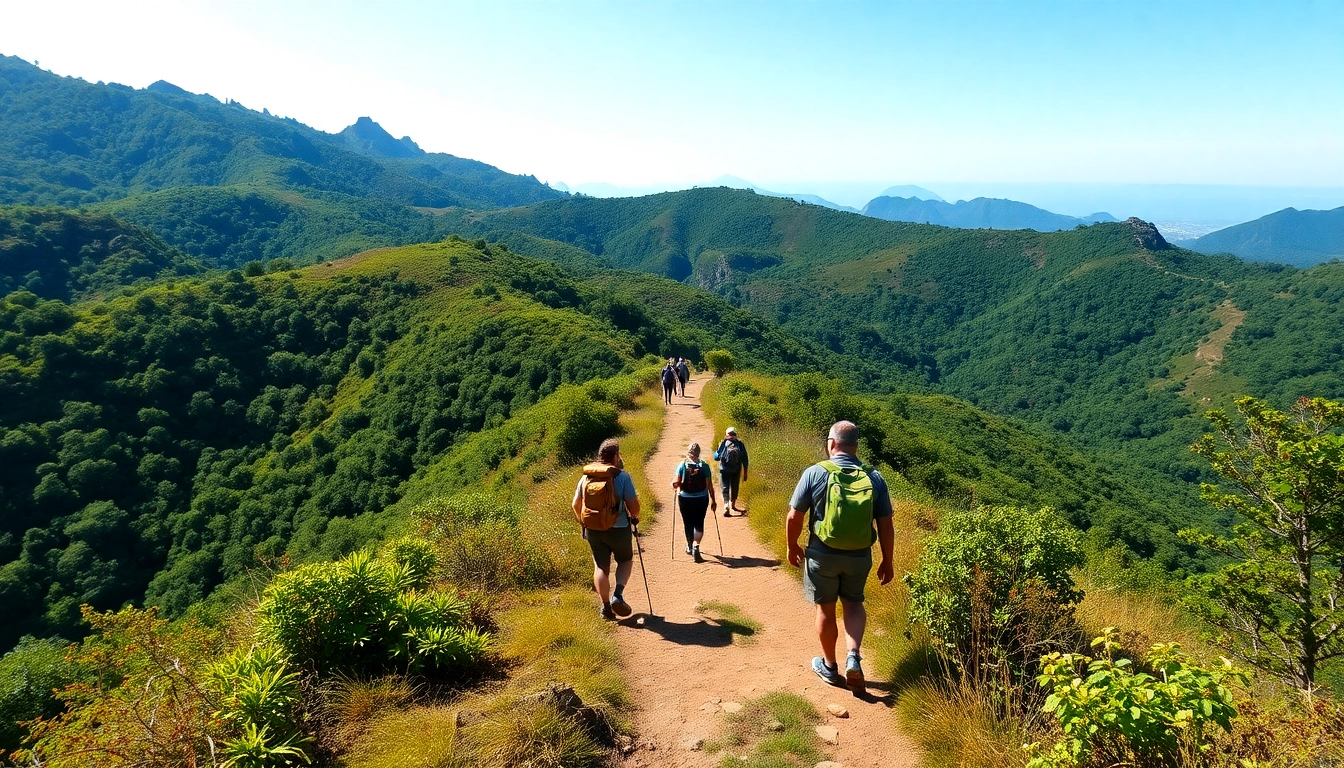 Group enjoys a guided hike through scenic mountain landscape with an expert trail guide leading the way.